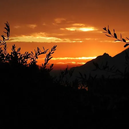 Tasel With Heated Pool