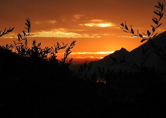 Tasel With Heated Pool