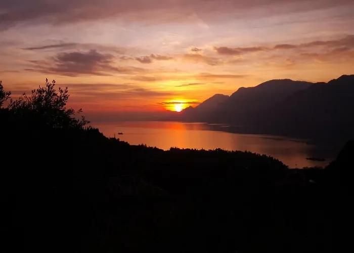 Tasel With Heated Pool